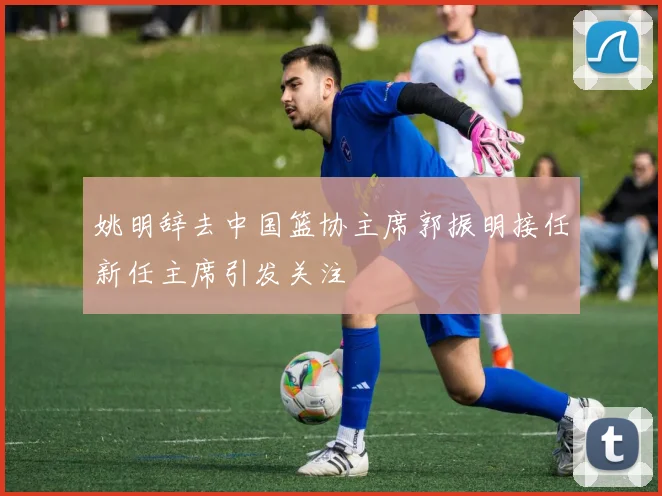 姚明辞去中国篮协主席郭振明接任新任主席引发关注