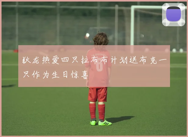 狄龙热爱四只拉布布计划送布克一只作为生日惊喜