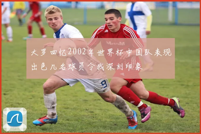 大罗回忆2002年世界杯中国队表现出色几名球员令我深刻印象