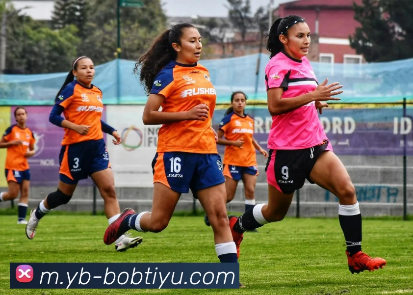 BOB体育平台生态图